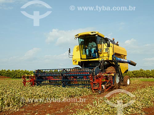  Subject: Mechanized harvesting of soybean plantation / Place: Holambra city - Sao Paulo state (SP) - Brazil / Date: 12/2013 