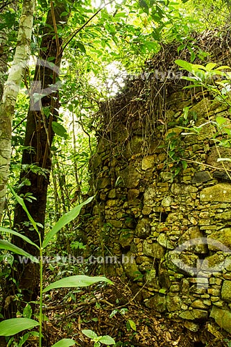  Subject: Taipa wall built by slaves in the XIX century - Gurita Trekking Trail - Lagoa do Peri Municipal Park / Place: Florianopolis city - Santa Catarina state (SC) - Brazil / Date: 12/2013 