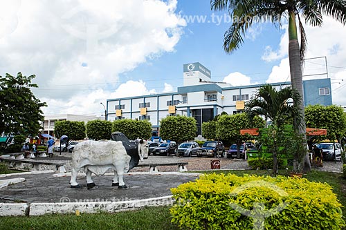  Subject: Boi Square (Ox Square) with the Goitacaz Hotel in the background / Place: Itapetinga city - Bahia state (BA) - Brazil / Date: 01/2014 