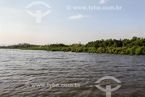  Subject: Coastal vegetation - Brisa Beach (Breeze Beach) / Place: Guaratiba neighborhood - Rio de Janeiro city - Rio de Janeiro state (RJ) - Brazil / Date: 02/2014 