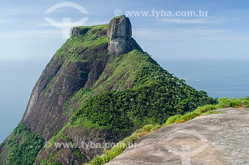  Subject: View of Rock of Gavea from Pedra Bonita (Bonita Stone) / Place: Rio de Janeiro state (RJ) - Brazil / Date: 01/2014 