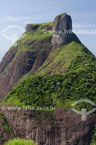  Subject: View of Rock of Gavea from Pedra Bonita (Bonita Stone) / Place: Rio de Janeiro state (RJ) - Brazil / Date: 01/2014 