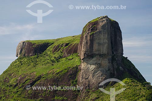  Subject: View of Rock of Gavea from Pedra Bonita (Bonita Stone) / Place: Rio de Janeiro state (RJ) - Brazil / Date: 01/2014 