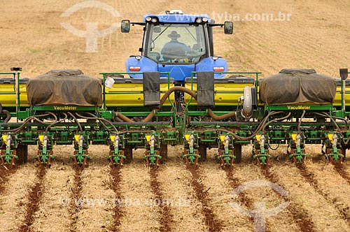  Subject: Corn Tillage / Place: Chapadao do Sul city - Mato Grosso do Sul state (MS) - Brazil / Date: 02/2014 