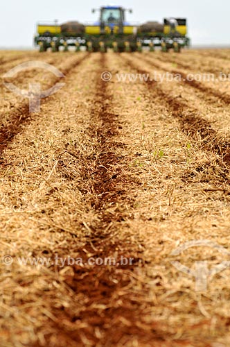  Subject: Corn Tillage / Place: Chapadao do Sul city - Mato Grosso do Sul state (MS) - Brazil / Date: 02/2014 