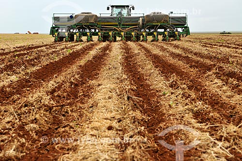  Subject: Corn Tillage / Place: Chapadao do Sul city - Mato Grosso do Sul state (MS) - Brazil / Date: 02/2014 