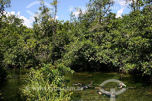  Subject: Tourists swimming in river / Place: Bonito city - Mato Grosso do Sul state (MS) - Brazil / Date: 04/2008 