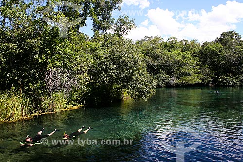  Subject: Tourists swimming in river / Place: Bonito city - Mato Grosso do Sul state (MS) - Brazil / Date: 04/2008 