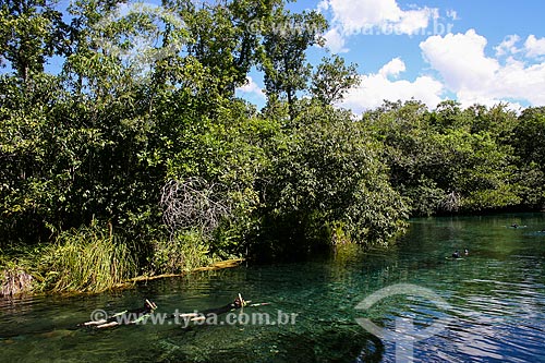  Subject: Tourists swimming in river / Place: Bonito city - Mato Grosso do Sul state (MS) - Brazil / Date: 04/2008 