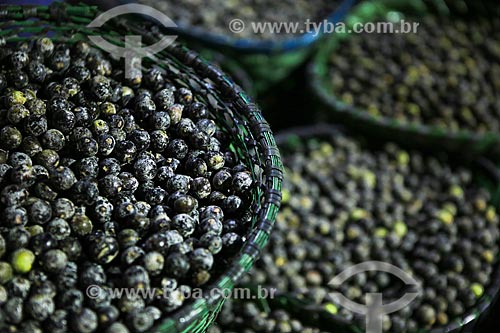  Subject: Açai Fair - Ver-o-peso Market / Place: Belem City - Para state (PA) - Brazil / Date: 03/2014 