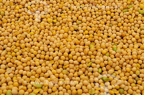  Subject: Soybean grains / Place: Chapadao do Sul city - Mato Grosso do Sul state (MS) - Brazil / Date: 02/2014 
