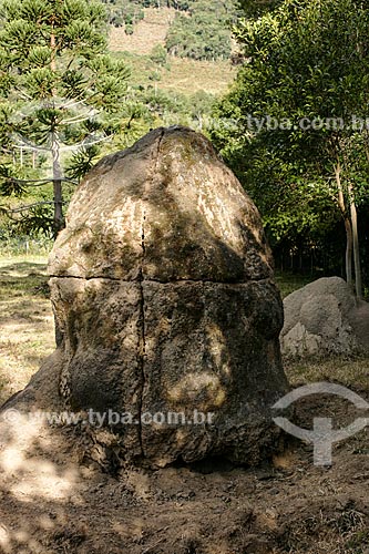  Subject: Termite mounds - Matutu Valley / Place: Aiuruoca city - Minas Gerais state (MG) - Brazil / Date: 06/2007 
