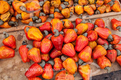  Subject: Cashew sold in Ver-o-Peso Market / Place: Belem city - Para state (PA) - Brazil / Date: 10/2010 