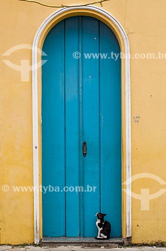  Subject: Cat in front of a door / Place: Cachoeira city - Bahia state (BA) - Brazil / Date: 12/2010 