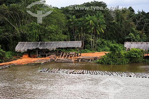  Subject: Timber on the banks of Tapajuru River near to Breves city / Place: Breves city - Para state (PA) - Brazil / Date: 03/2014 