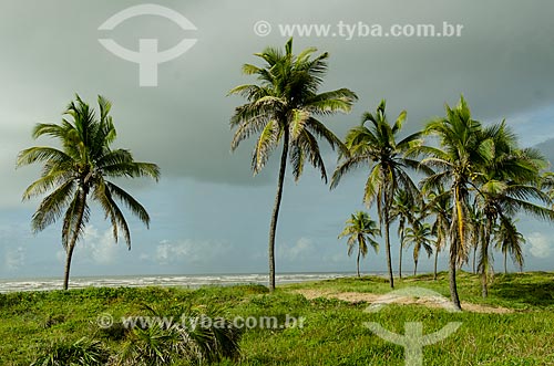  Subject: Atalaia Beach / Place: Aracaju city - Sergipe state (SE) - Brazil / Date: 08/2013 