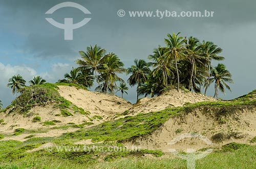  Subject: Hill in Atalaia Beach / Place: Aracaju city - Sergipe state (SE) - Brazil / Date: 08/2013 