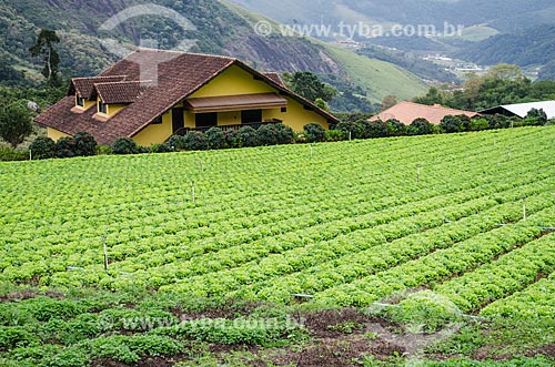  Subject: Planting of greenery near to Tres Picos State Park / Place: Bonsucesso district - Teresopolis city - Rio de Janeiro state (RJ) - Brazil / Date: 05/2014 