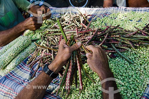  Subject: Green bean in Caico Market / Place: Caico city - Rio Grande do Norte state (RN) - Brazil / Date: 07/2012 