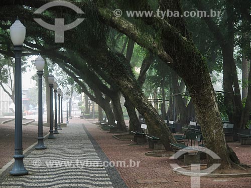  Subject: Alfandega Square (Customhouse Square) during the winter / Place: Porto Alegre city - Rio Grande do Sul state (RS) - Brazil / Date: 05/2014 