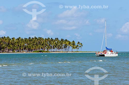  Subject: Coconut palms - Guadalupe Beach / Place: Sirinhaem city - Pernambuco state (PE) - Brazil / Date: 12/2013 