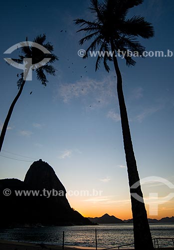  Subject: Vermelha Beach with Sugar Loaf in the background at dawn / Place: Urca neighborhood - Rio de Janeiro city - Rio de Janeiro state (RJ) - Brazil / Date: 07/2014 