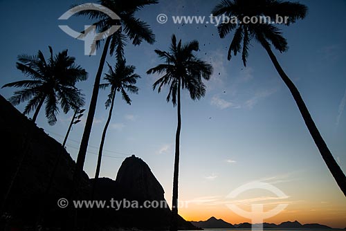  Subject: Vermelha Beach with Sugar Loaf in the background at dawn / Place: Urca neighborhood - Rio de Janeiro city - Rio de Janeiro state (RJ) - Brazil / Date: 07/2014 