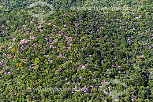  Aerial photo of Atlantic Rainforest near to Sao Lourenco da Serra city  - Sao Lourenco da Serra city - Sao Paulo state (SP) - Brazil