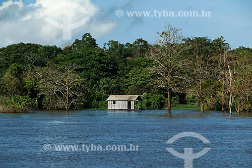  Hut on the banks of the Amazon River  - Manaus city - Amazonas state (AM) - Brazil