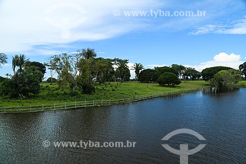  Paraná Princess - Branch of the Amazon River  - Parintins city - Amazonas state (AM) - Brazil