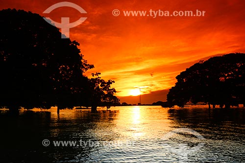  Parana of Princesa - Branch of the Amazon River  - Parintins city - Amazonas state (AM) - Brazil