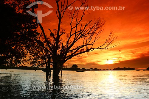  Parana of Princesa - Branch of the Amazon River  - Parintins city - Amazonas state (AM) - Brazil