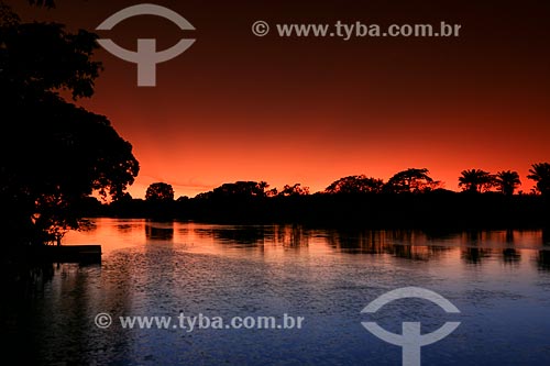  Parana of Princesa - Branch of the Amazon River  - Parintins city - Amazonas state (AM) - Brazil