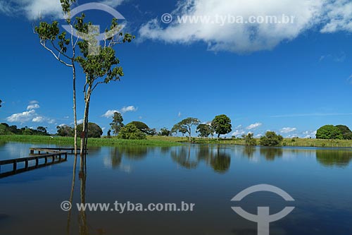  Lake in Parintins  - Parintins city - Amazonas state (AM) - Brazil