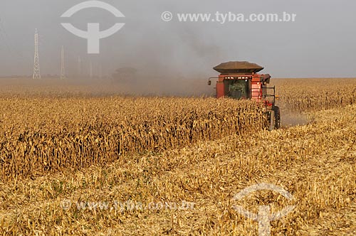  Mechanized harvesting of Corn  - Chapadao do Sul city - Mato Grosso do Sul state (MS) - Brazil