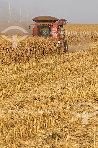  Mechanized harvesting of Corn  - Chapadao do Sul city - Mato Grosso do Sul state (MS) - Brazil