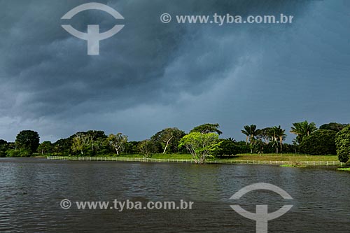  Parana Princess - Branch of the Amazon River  - Parintins city - Amazonas state (AM) - Brazil