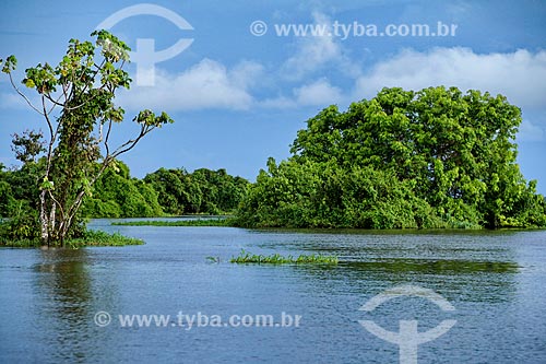  View of Amazon River  - Parintins city - Amazonas state (AM) - Brazil