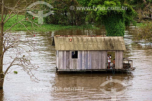 Hut on the banks of the Amazon River  - Parintins city - Amazonas state (AM) - Brazil