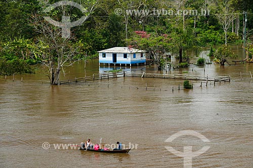  Hut on the banks of the Amazon River  - Urucara city - Amazonas state (AM) - Brazil
