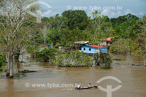  Hut on the banks of the Amazon River  - Urucara city - Amazonas state (AM) - Brazil