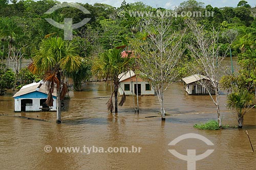  Hut on the banks of the Amazon River  - Urucara city - Amazonas state (AM) - Brazil