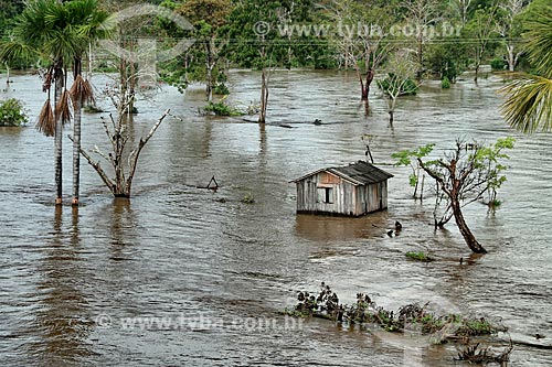  Hut on the banks of the Amazon River  - Urucara city - Amazonas state (AM) - Brazil