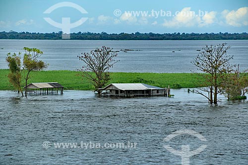  Hut on the banks of the Amazon River - near Manaus  - Manaus city - Amazonas state (AM) - Brazil