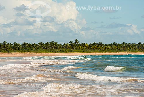  Waterfront of Algodoes Beach (Cottons Beach)  - Marau city - Bahia state (BA) - Brazil