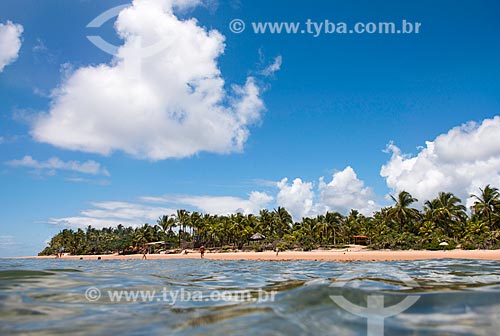  Waterfront of Algodoes Beach (Cottons Beach)  - Marau city - Bahia state (BA) - Brazil