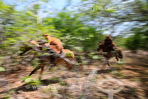  Horsemans - backwood of Pernambuco  - Serrita city - Pernambuco state (PE) - Brazil