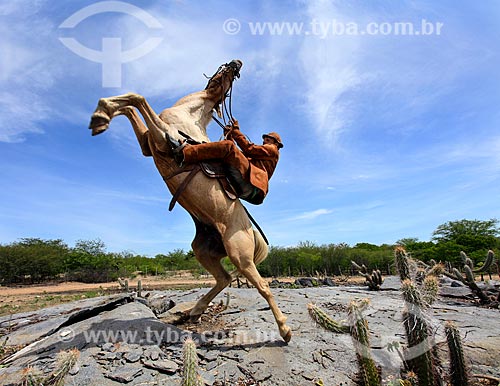  Horsemans - backwood of Pernambuco  - Serrita city - Pernambuco state (PE) - Brazil