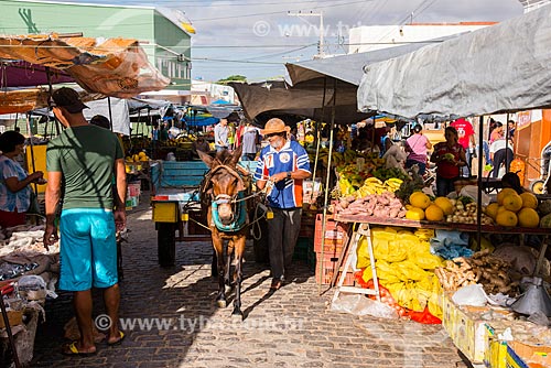 Cart - street fair  - Belem de Sao Francisco city - Pernambuco state (PE) - Brazil