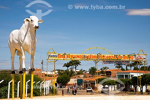  Statue of ox with the city of Cedro portico in the background - PE-475 highway  - Cedro city - Pernambuco state (PE) - Brazil